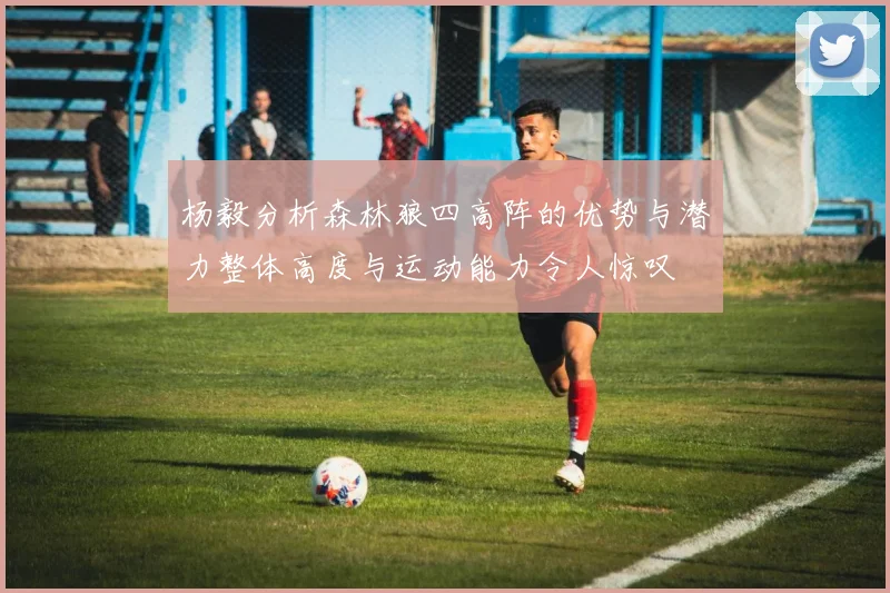 杨毅分析森林狼四高阵的优势与潜力整体高度与运动能力令人惊叹